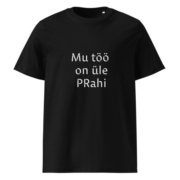 T-särk "Mu töö on üle PRahi"